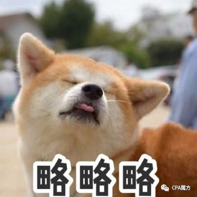 注册了会计师成绩查询_2017注册会计师成绩查询_2020年注册会计师查成绩