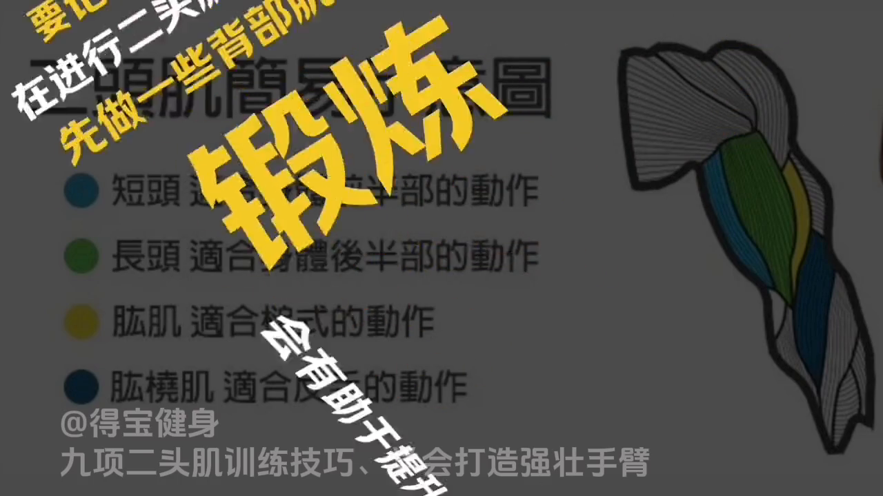 如何用哑铃锻炼肱头肌_哑铃二头肌锻炼方法_哑铃练2头肌动作