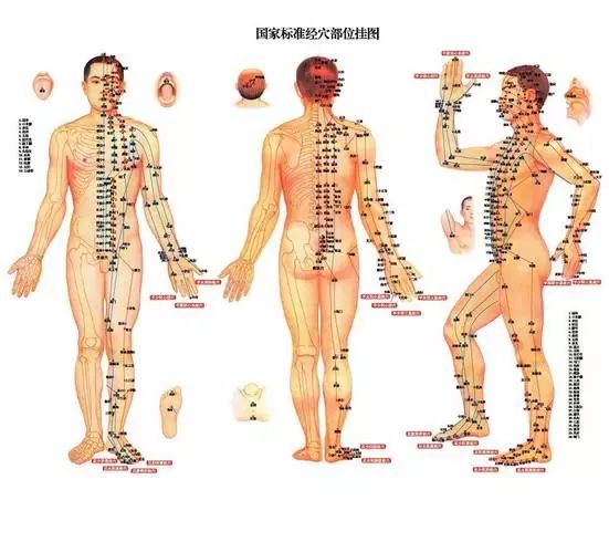 按摩师证还能用吗_证考按摩师没用吗_考了按摩师证没用
