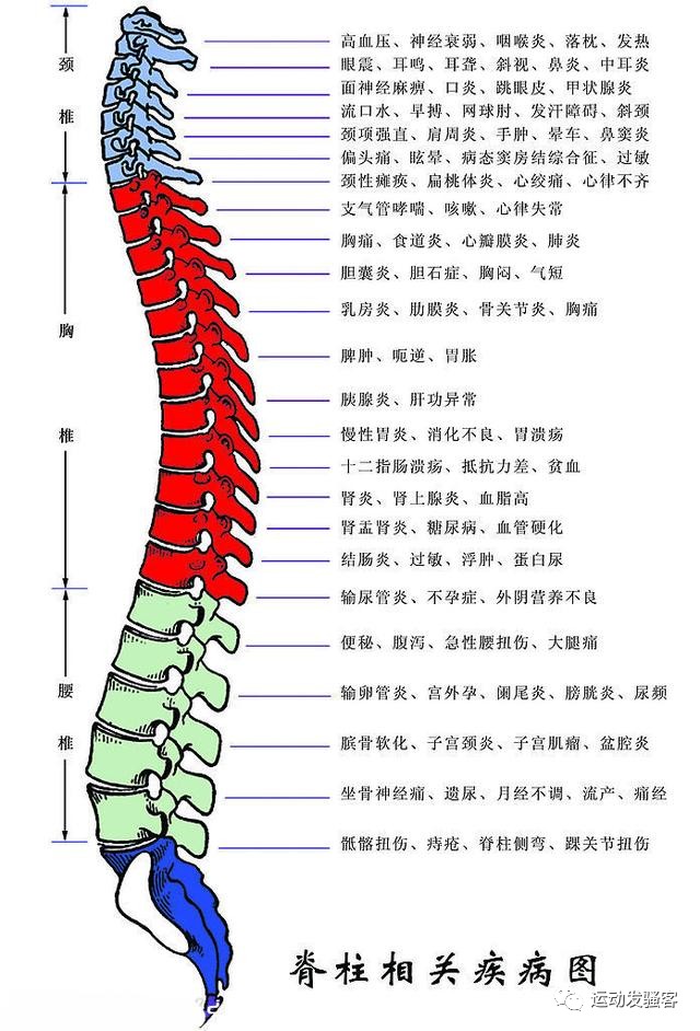 锻炼健身腰背疼怎么办_锻炼健身腰背酸痛_健身锻炼腰背