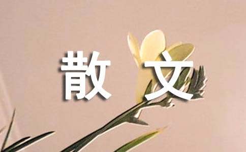 喜欢一个人是什么感觉散文随笔