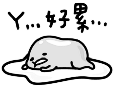 晚上跑步好吗_晚上跑步好还是早上跑步效果好_晚上12点跑步好吗