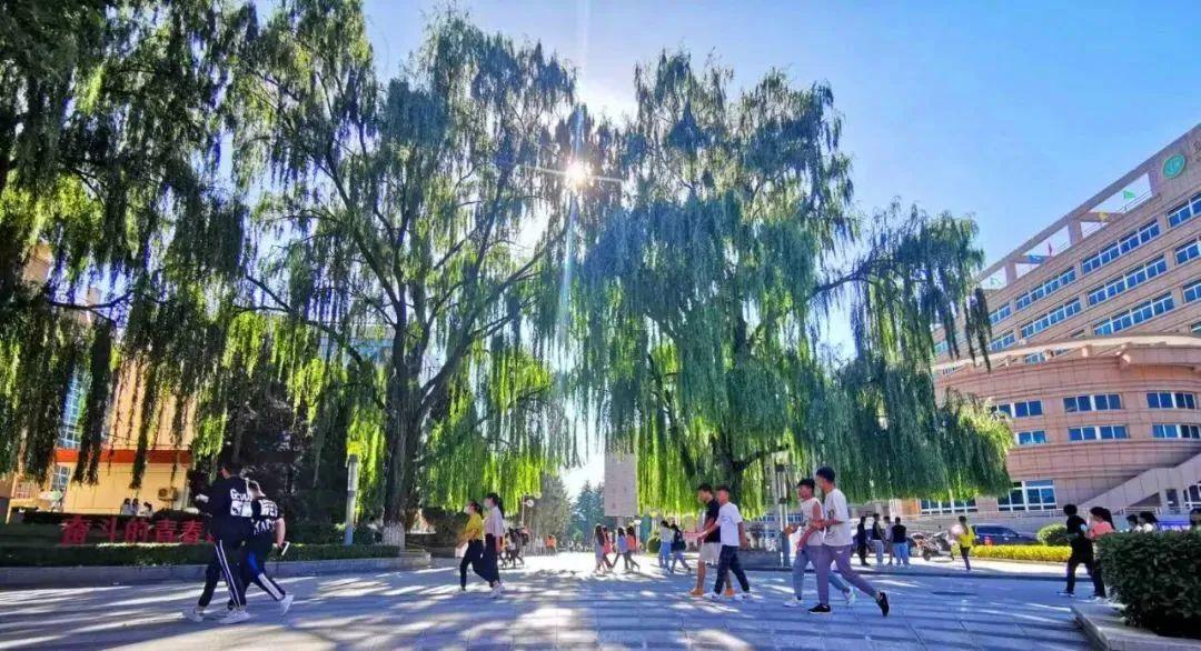 南京林业大学2021录取分数线_南京林业2020年录取分数线_南京林业大学最低录取分数线