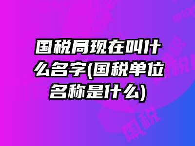 国税局现在叫什么名字(国税单位名称是什么)