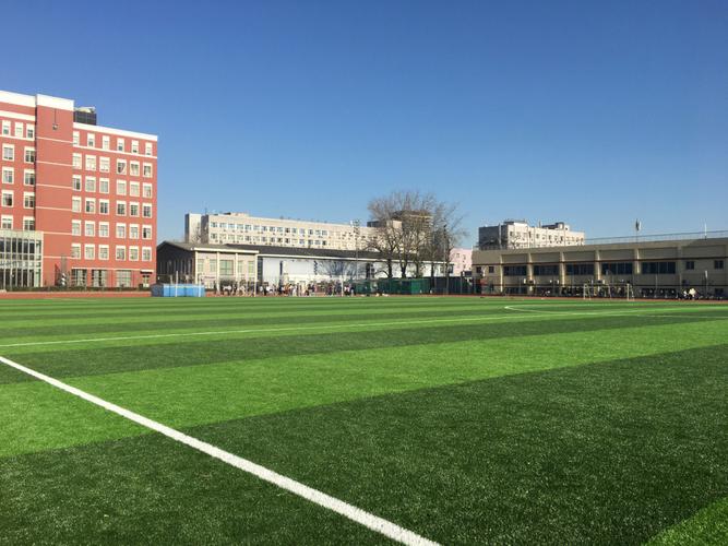 孤独办大学感觉很累_大学太孤独了_大学感觉很孤独怎么办