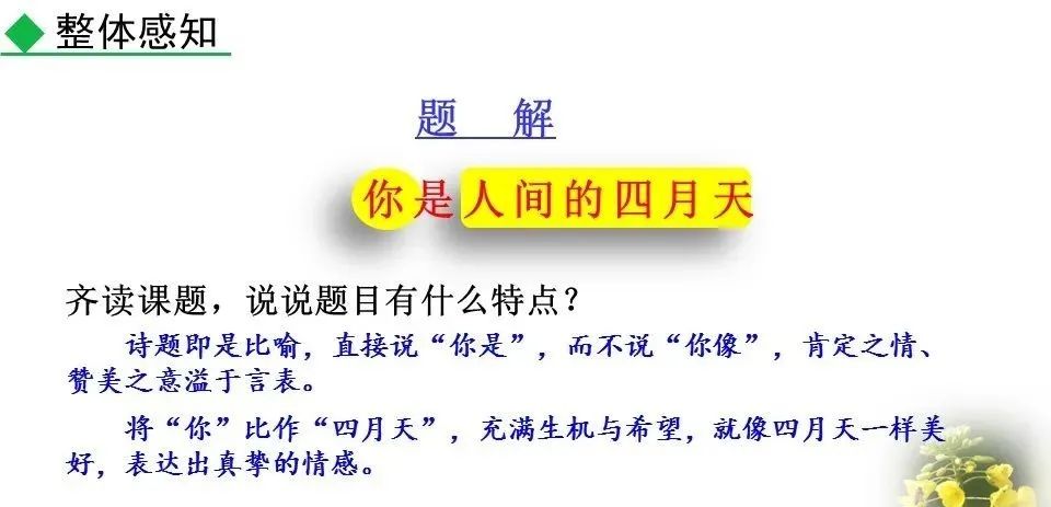 体会人间_进入初中的感受_你是人间的四月天初读感受