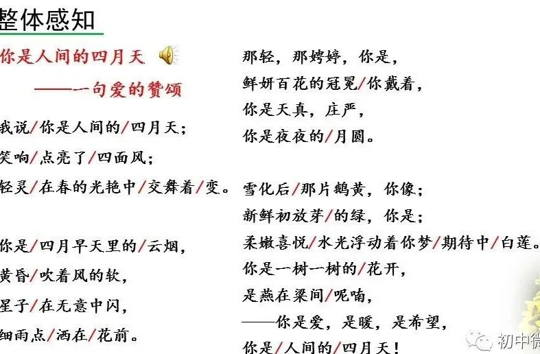 体会人间_进入初中的感受_你是人间的四月天初读感受