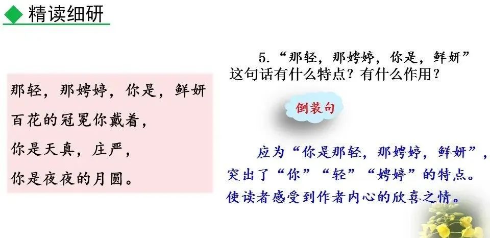 体会人间_进入初中的感受_你是人间的四月天初读感受