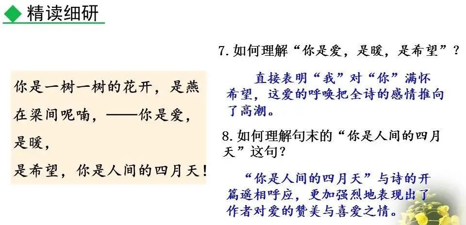 体会人间_你是人间的四月天初读感受_进入初中的感受