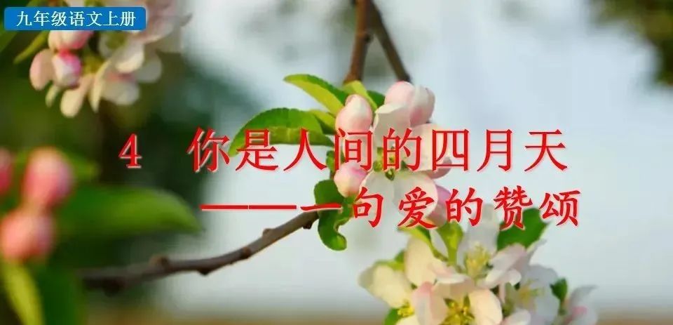 体会人间_进入初中的感受_你是人间的四月天初读感受