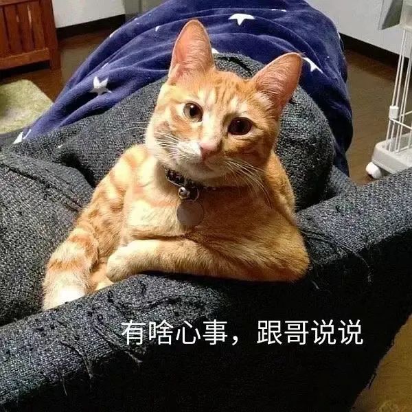 情感大学生问题有哪些方面_大学生情感问题有哪些_大学生情感问题及解决方法