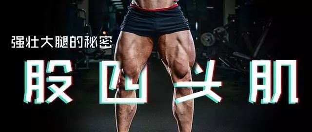 腿部肌肉在家锻炼有用吗_腿部肌肉怎么锻炼在家里_在家怎么锻炼腿部肌肉