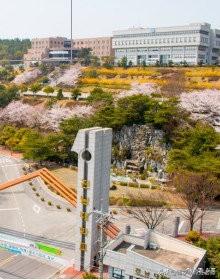 全南大学算名牌大学吗_全南大学相当于几本_全南大学